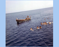 1968 05 05 South Vietnam - Swim Call - What just brushed my foot.jpg